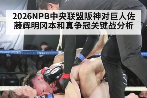 2026NPB中央联盟阪神对巨人佐藤辉明冈本和真争冠关键战分析